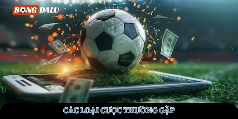 Các loại cược thường gặp