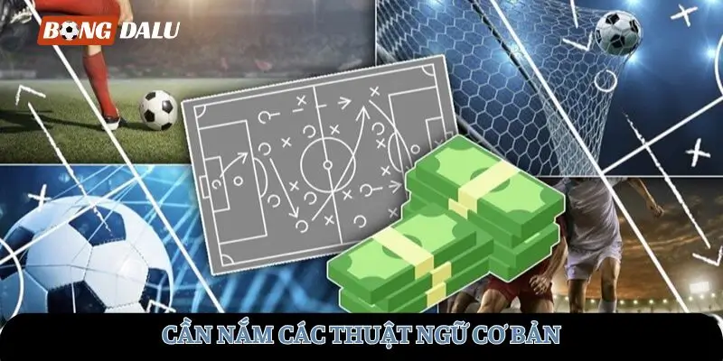 Cần nắm các thuật ngữ cơ bản