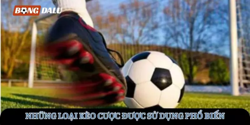 Những loại kèo cược thường được sử dụng phổ biến