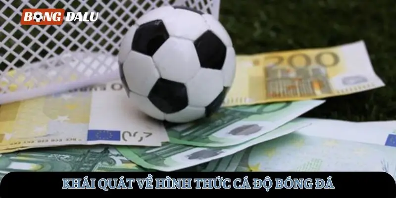 Khái quát hình thức cá độ 