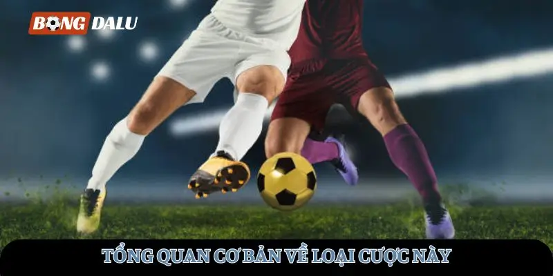 Tổng quan cơ bản về loại cược này