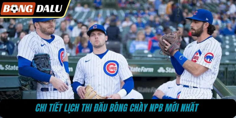 Chi tiết lịch thi đấu bóng chày NPB mới nhất 