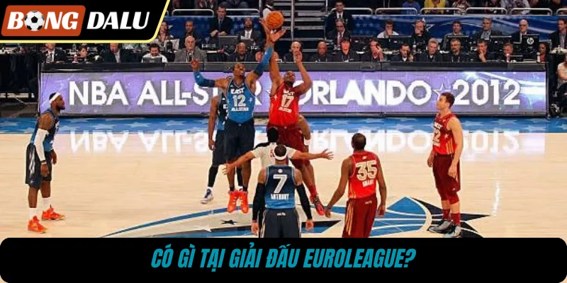 Có gì tại giải đấu EuroLeague?