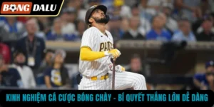 Kinh Nghiệm Cá Cược Bóng Chày – Bí Quyết Thắng Lớn Dễ Dàng