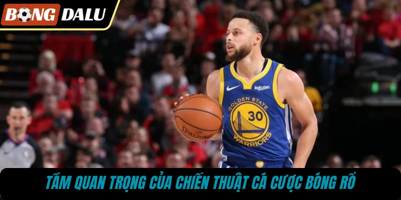 Tầm quan trọng của chiến thuật cá cược bóng rổ